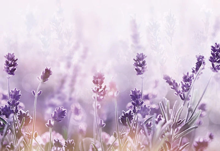 Sagen Sie unruhigen Nächten "gute Nacht".